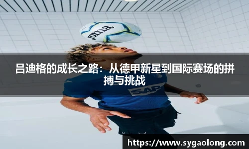国际米兰中文网